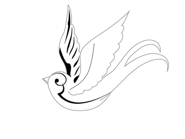 Ласточка рисунок карандашом