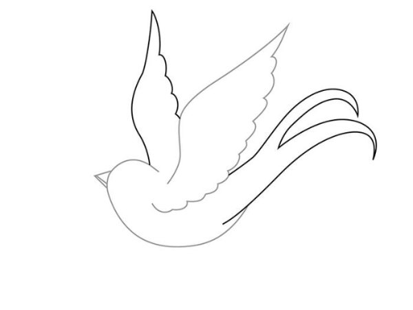 Ласточка рисунок карандашом