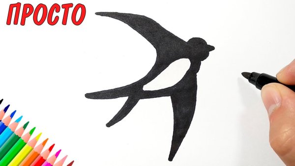 Как нарисовать ласточку легко