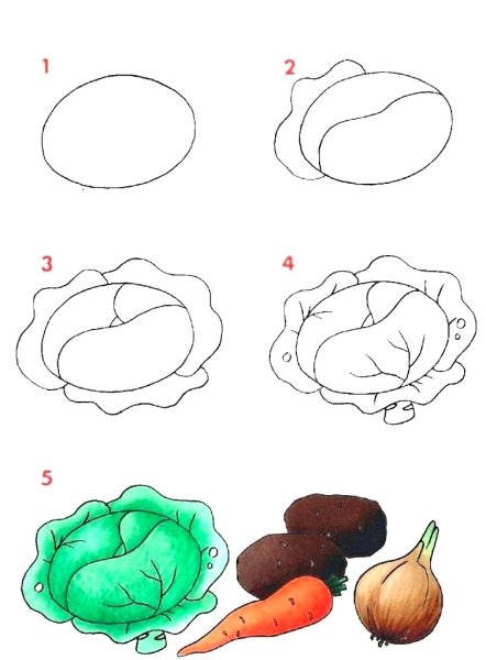 Поэтапное рисование овощей и фруктов