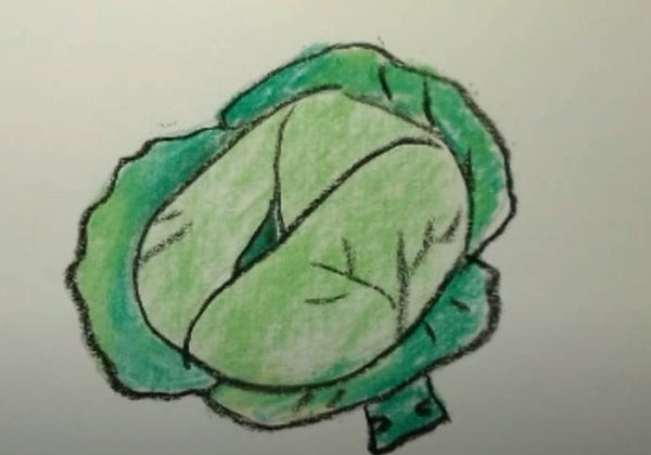 Поэтапное рисование капусты