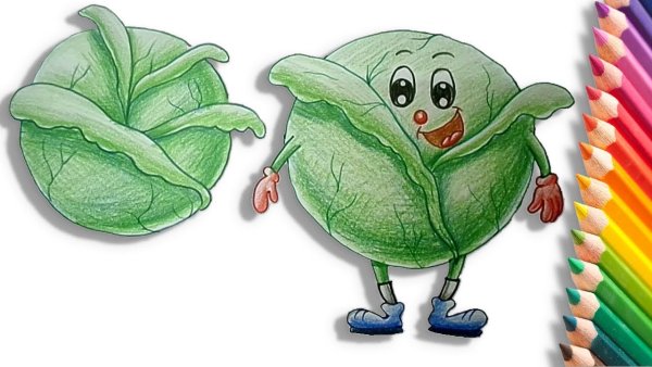 Рисование капусты с малышами