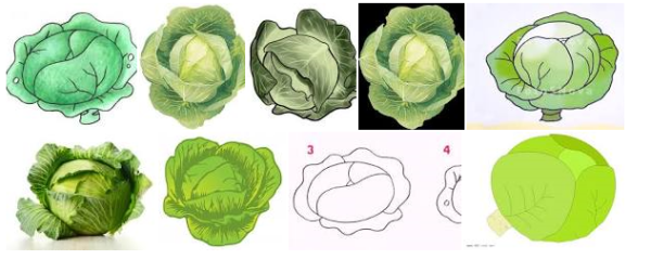 Рисование капусты детям