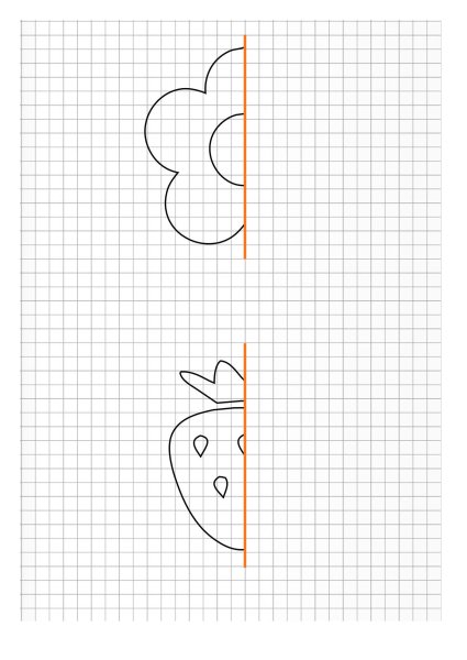 Симметричные фигуры в природе