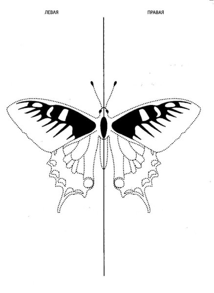 Бабочка карандашом