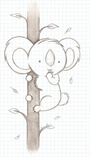 Коала рисунок для срисовки