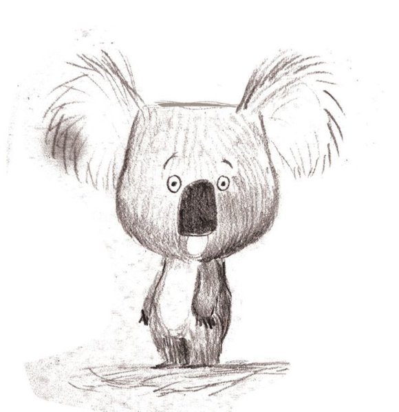 Коала рисунок для срисовки