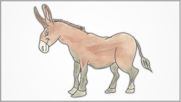 How to draw Donkey