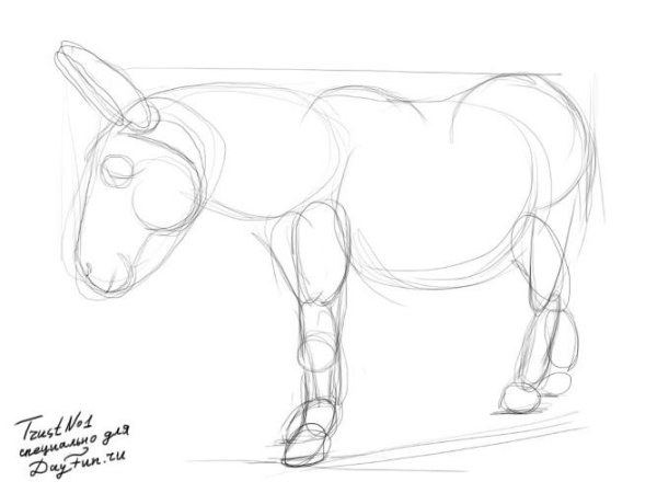 Поэтапное рисование осла