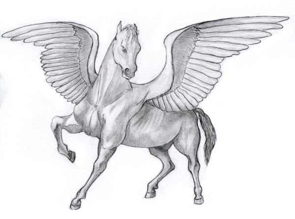 Нарисовать Пегаса