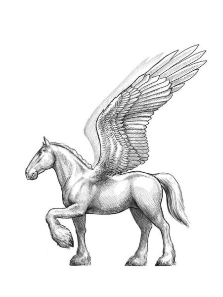 Пегас рисунок