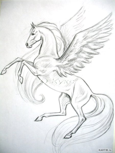 Пегас карандашом для срисовки