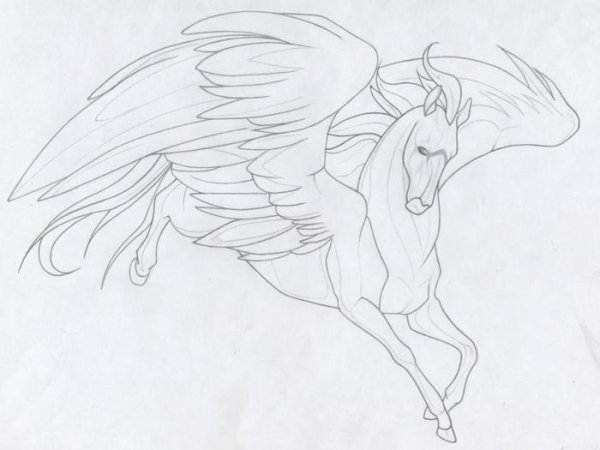 Пегас для срисовки