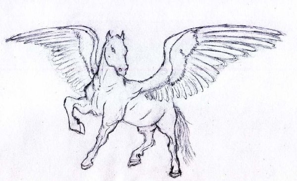 Пегас рисунок карандашом