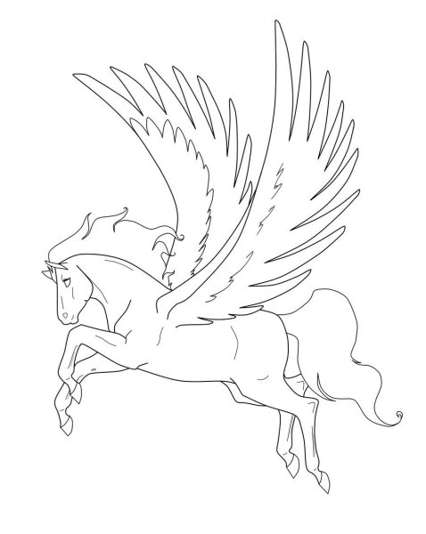 Пегас раскраска