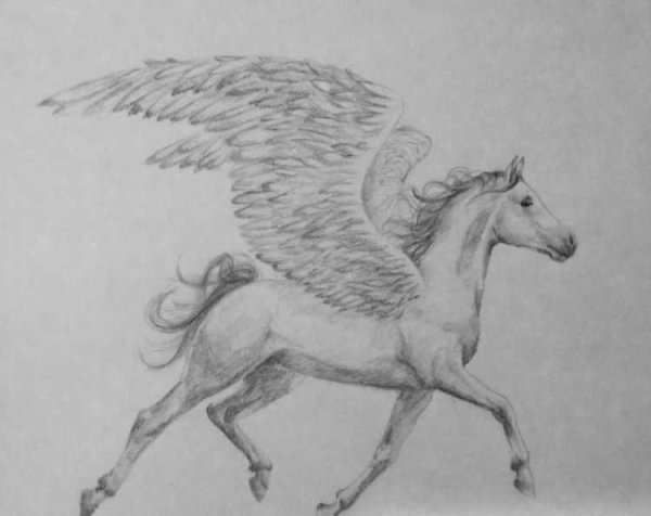 Рисунки пегасов карандашом