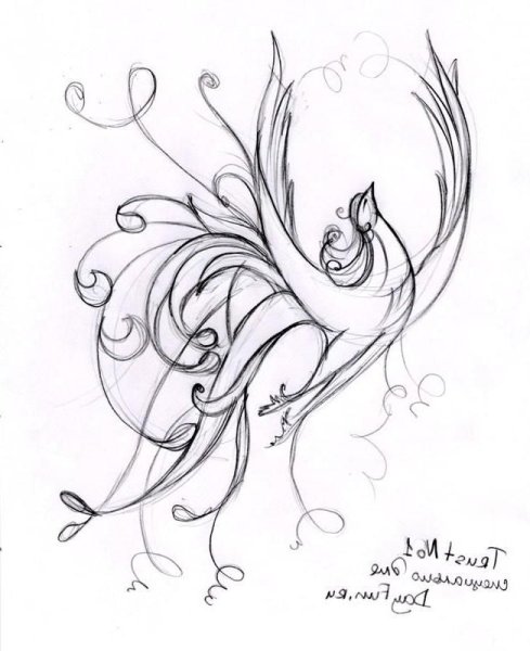 Рисование Жар птицы лёгкие