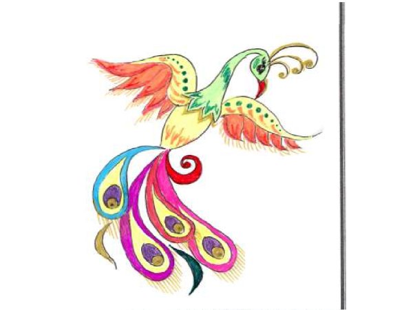 Жар птица черно белая