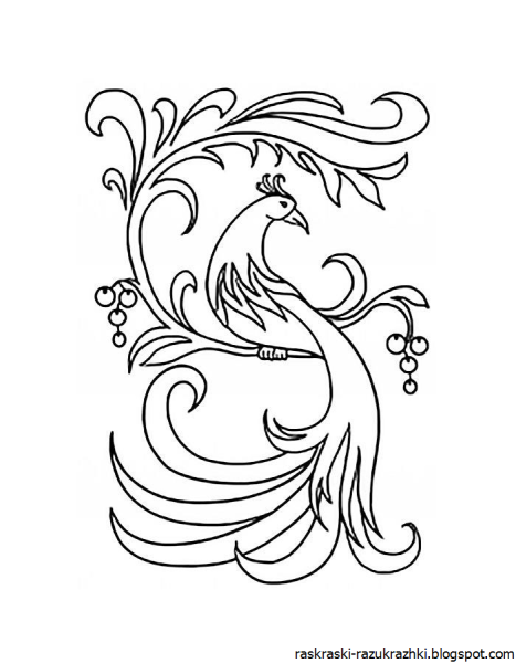 Сказочная птица рисование в подготовительной группе карандашами