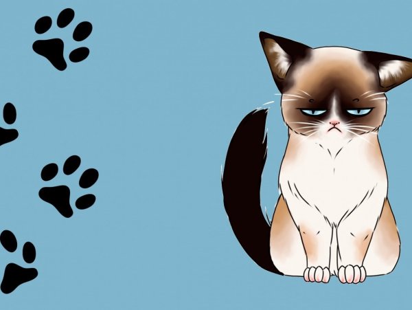 Обои с сиреневым рисунком