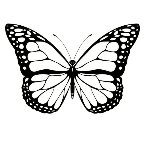 Бабочка рисунок