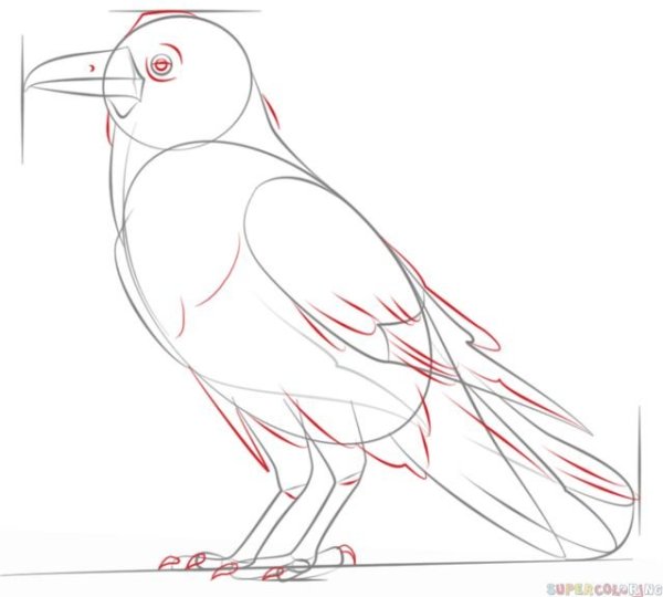 Рисуем ворона пошагово