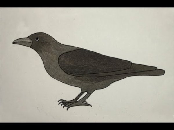 Рисунки ворона легкие