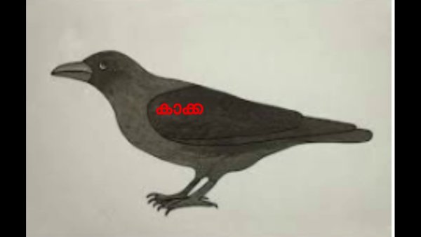 Рисунки ворона легкие