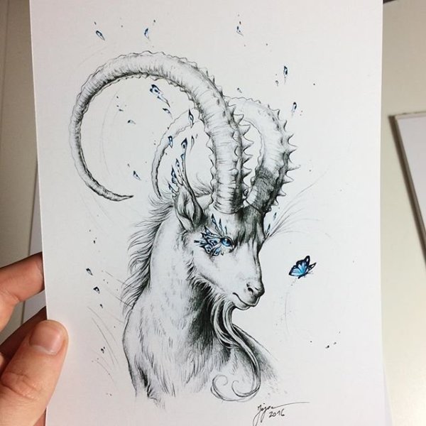 Козерог набросок