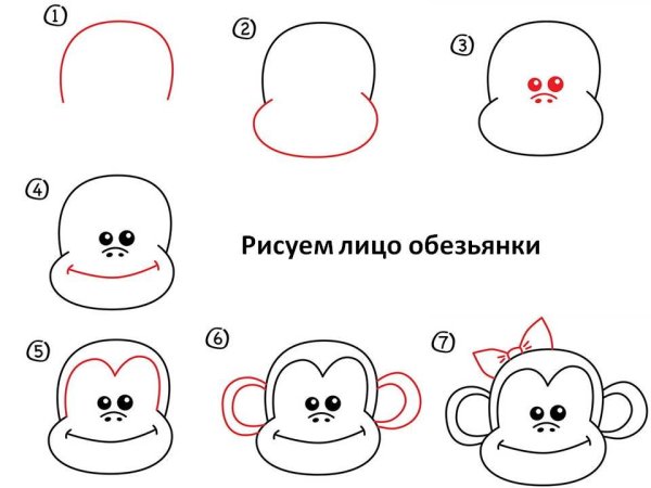 Поэтапное рисование тигра для детей