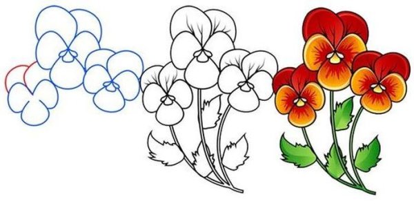 Раскраски Анютины глазки цветы