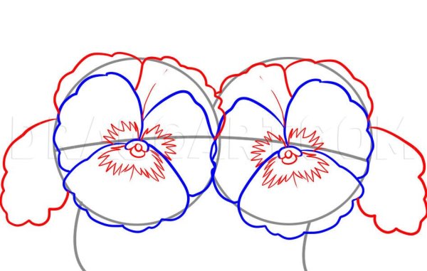 Рисунок для тату фиалки