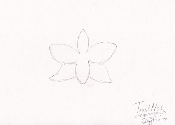 Как нарисовать лист фиалки