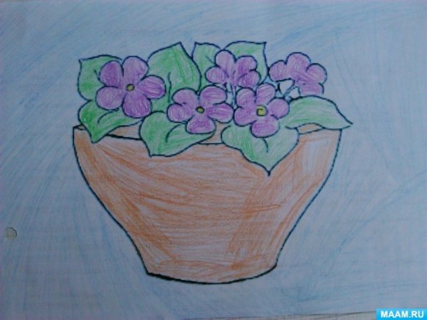 Фиалка рисунок 1 класс