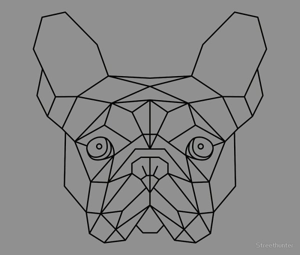 Геометрия эскиз