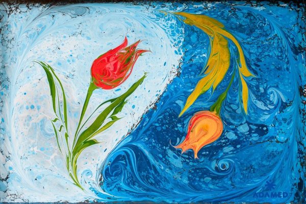 Эбру морская звезда