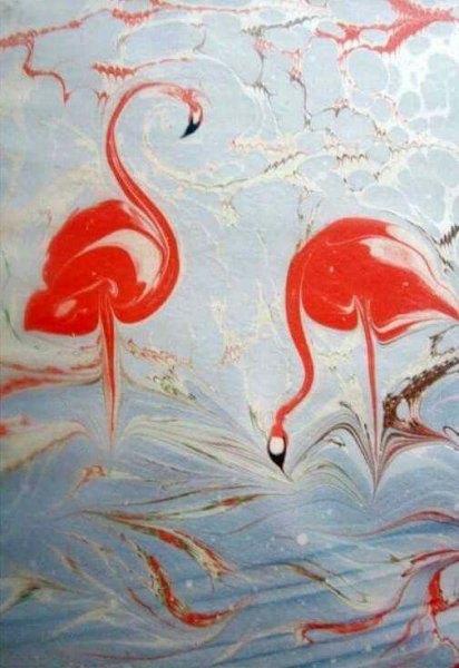 Фламинго эбру