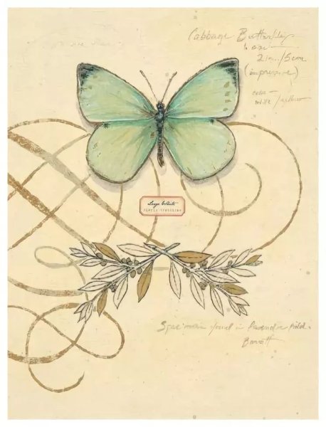 Винтажные рисунки легкие