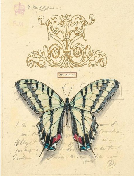 Гравюра для декупажа