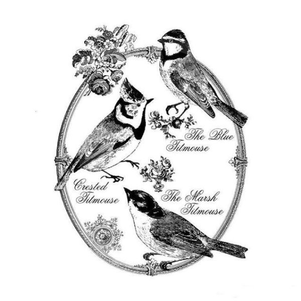 Монохром для декупажа