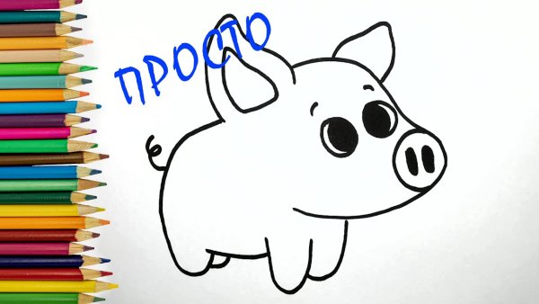 Поросенок рисунок карандашом