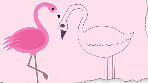 Фламинго срисовать