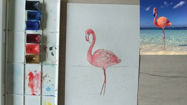 Картинки Фламинго для срисовки