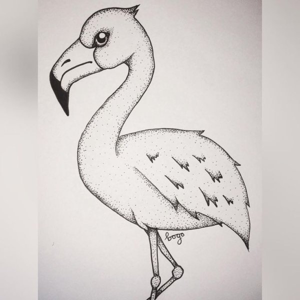 Фламинго урок для дошкольников