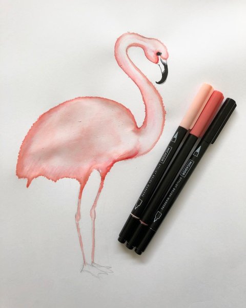 Фламинго рисунок фломастерами