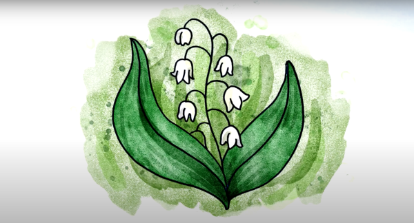 Ландыш рисунок карандашом