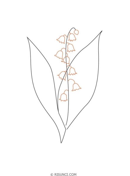 Ландыш рисунок карандашом