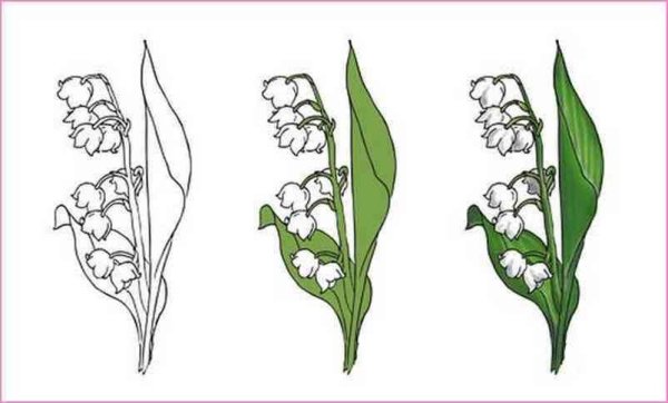 Ландыш раскраска