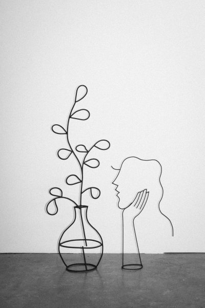 Силуэты из проволоки