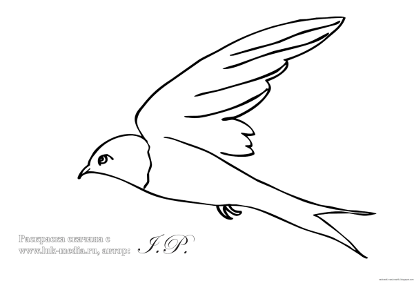Ласточка раскраска для детей